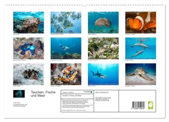 Tauchen, Fische und Meer (Wandkalender 2027 DIN A2 quer), CALVENDO Monatskalender