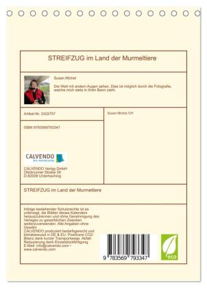 STREIFZUG im Land der Murmeltiere (Tischkalender 2027 DIN A5 hoch), CALVENDO Monatskalender