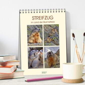 STREIFZUG im Land der Murmeltiere (Tischkalender 2027 DIN A5 hoch), CALVENDO Monatskalender