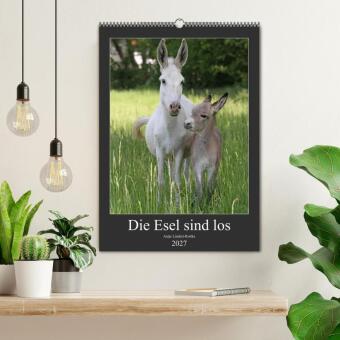 Die Esel sind los (Wandkalender 2027 DIN A2 hoch), CALVENDO Monatskalender