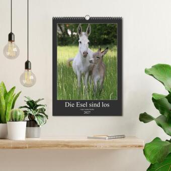 Die Esel sind los (Wandkalender 2027 DIN A3 hoch), CALVENDO Monatskalender