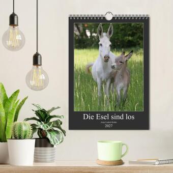 Die Esel sind los (Wandkalender 2027 DIN A4 hoch), CALVENDO Monatskalender