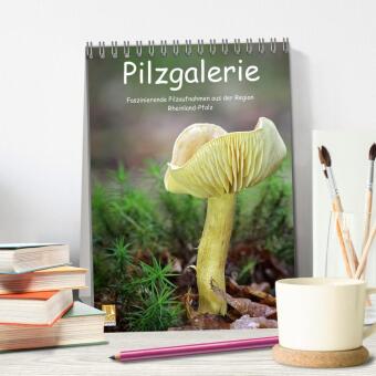 Pilzgalerie - Faszinierende Pilzaufnahmen aus der Region Rheinland-Pfalz (Tischkalender 2027 DIN A5 hoch), CALVENDO Monatskalender