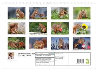 Eichhörnchen Luna und ihre Kinder (hochwertiger Premium Wandkalender 2027 DIN A2 quer), Kunstdruck in Hochglanz
