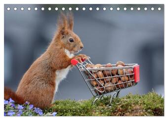 Eichhörnchen Luna und ihre Kinder (Tischkalender 2027 DIN A5 quer), CALVENDO Monatskalender