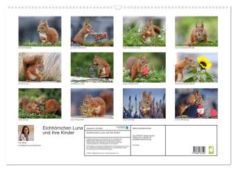 Eichhörnchen Luna und ihre Kinder (Wandkalender 2027 DIN A2 quer), CALVENDO Monatskalender