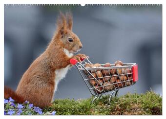 Eichhörnchen Luna und ihre Kinder (Wandkalender 2027 DIN A2 quer), CALVENDO Monatskalender