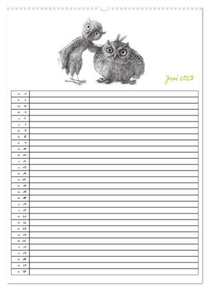 Tieronisch Eulen (hochwertiger Premium Wandkalender 2027 DIN A2 hoch), Kunstdruck in Hochglanz
