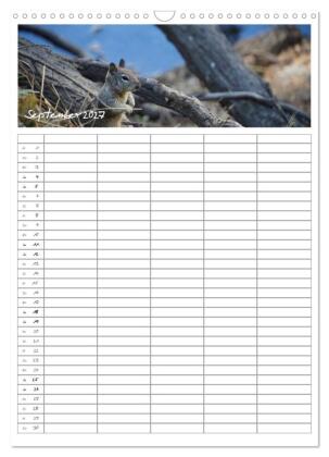 Kalifornien - Familienplaner 2027 (Wandkalender 2027 DIN A3 hoch), CALVENDO Monatskalender