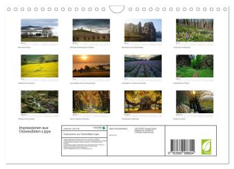 Impressionen aus Ostwestfalen-Lippe (Wandkalender 2027 DIN A4 quer), CALVENDO Monatskalender
