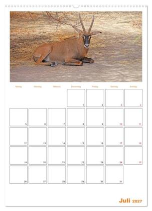 Gambia und Senegal erleben (hochwertiger Premium Wandkalender 2027 DIN A2 hoch), Kunstdruck in Hochglanz