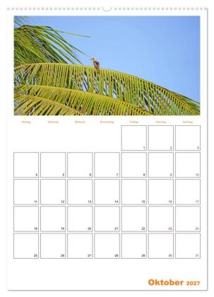 Gambia und Senegal erleben (hochwertiger Premium Wandkalender 2027 DIN A2 hoch), Kunstdruck in Hochglanz