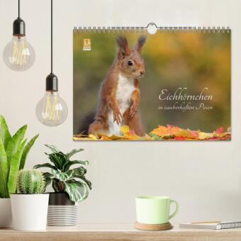 Eichhörnchen in zauberhaften Posen (Wandkalender 2027 DIN A4 quer), CALVENDO Monatskalender