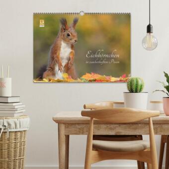 Eichhörnchen in zauberhaften Posen (Wandkalender 2027 DIN A3 quer), CALVENDO Monatskalender