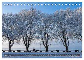 Die Halbinsel Mettnau - Erholungsort im Bodensee (Tischkalender 2027 DIN A5 quer), CALVENDO Monatskalender