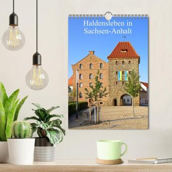 Haldensleben in Sachsen-Anhalt (Wandkalender 2027 DIN A4 hoch), CALVENDO Monatskalender