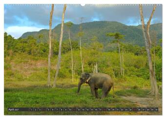 Thailand Journey (hochwertiger Premium Wandkalender 2027 DIN A2 quer), Kunstdruck in Hochglanz
