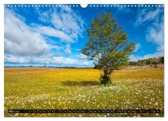 Patagonien und Feuerland (Wandkalender 2027 DIN A3 quer), CALVENDO Monatskalender