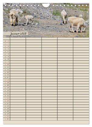 Tierischer Familienplaner (Wandkalender 2027 DIN A4 hoch), CALVENDO Monatskalender