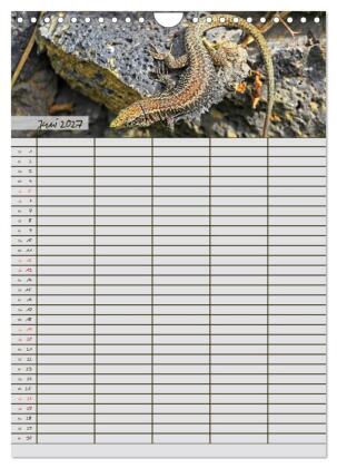 Tierischer Familienplaner (Wandkalender 2027 DIN A4 hoch), CALVENDO Monatskalender