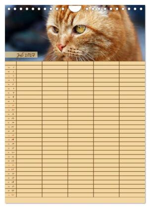 Tierischer Familienplaner (Wandkalender 2027 DIN A4 hoch), CALVENDO Monatskalender