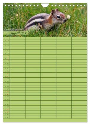 Tierischer Familienplaner (Wandkalender 2027 DIN A4 hoch), CALVENDO Monatskalender