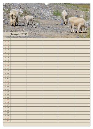 Tierischer Familienplaner (hochwertiger Premium Wandkalender 2027 DIN A2 hoch), Kunstdruck in Hochglanz
