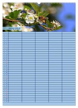 Tierischer Familienplaner (hochwertiger Premium Wandkalender 2027 DIN A2 hoch), Kunstdruck in Hochglanz