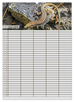 Tierischer Familienplaner (hochwertiger Premium Wandkalender 2027 DIN A2 hoch), Kunstdruck in Hochglanz