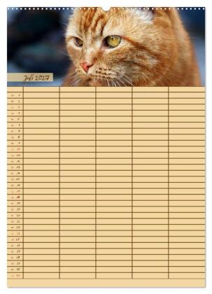 Tierischer Familienplaner (hochwertiger Premium Wandkalender 2027 DIN A2 hoch), Kunstdruck in Hochglanz