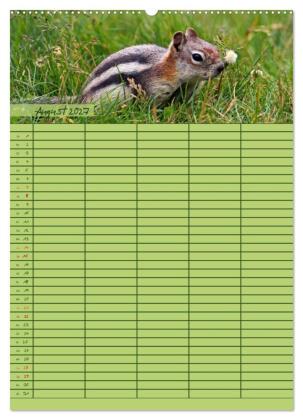 Tierischer Familienplaner (hochwertiger Premium Wandkalender 2027 DIN A2 hoch), Kunstdruck in Hochglanz