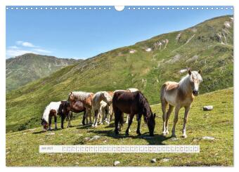 Sommer im Vinschgau (Wandkalender 2027 DIN A3 quer), CALVENDO Monatskalender