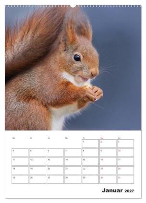 Eichhörnchen Luna (Wandkalender 2027 DIN A2 hoch), CALVENDO Monatskalender