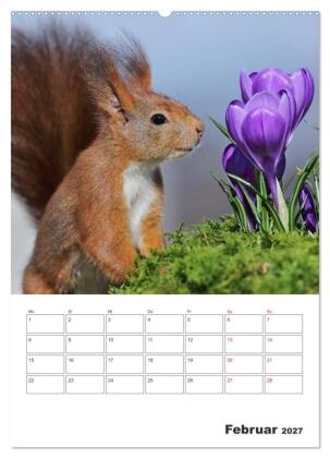 Eichhörnchen Luna (Wandkalender 2027 DIN A2 hoch), CALVENDO Monatskalender