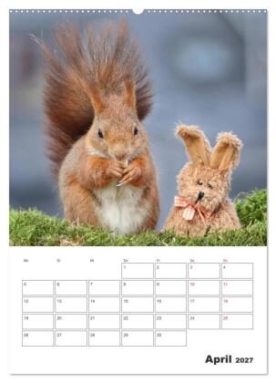 Eichhörnchen Luna (Wandkalender 2027 DIN A2 hoch), CALVENDO Monatskalender