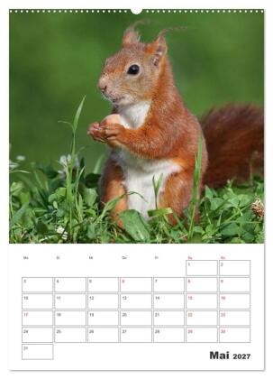 Eichhörnchen Luna (Wandkalender 2027 DIN A2 hoch), CALVENDO Monatskalender