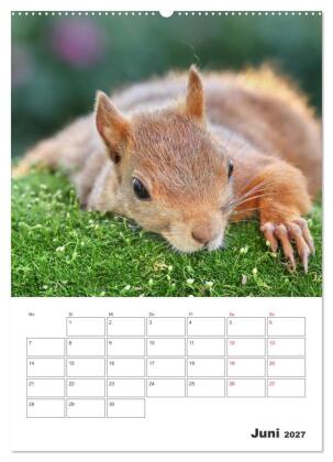 Eichhörnchen Luna (Wandkalender 2027 DIN A2 hoch), CALVENDO Monatskalender