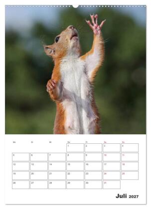 Eichhörnchen Luna (Wandkalender 2027 DIN A2 hoch), CALVENDO Monatskalender
