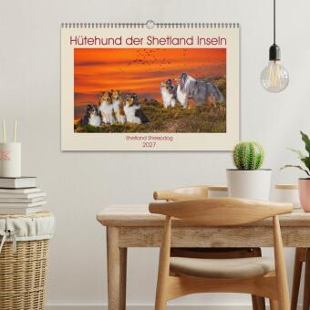 Hütehund der Shetland Inseln - Shetland Sheepdog (Wandkalender 2027 DIN A3 quer), CALVENDO Monatskalender