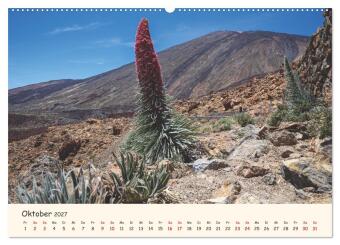 Teneriffa in Bildern (hochwertiger Premium Wandkalender 2027 DIN A2 quer), Kunstdruck in Hochglanz