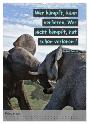 Aktiviere Deine Motivation Weisheiten und Sprüche (Wandkalender 2027 DIN A2 hoch), CALVENDO Monatskalender
