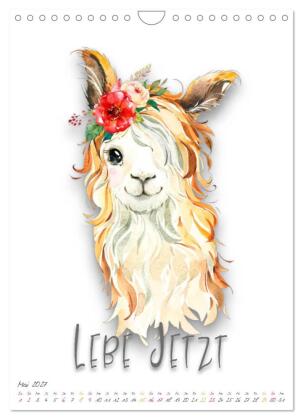 Freu Dich - Gute-Laune-Motivations-Kalender (Wandkalender 2027 DIN A4 hoch), CALVENDO Monatskalender
