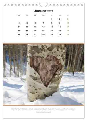 Attraktive Herzmotive 2027 (Wandkalender 2027 DIN A4 hoch), CALVENDO Monatskalender