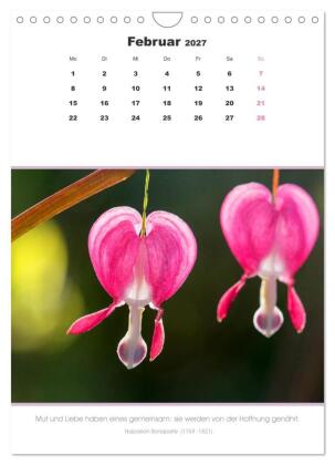 Attraktive Herzmotive 2027 (Wandkalender 2027 DIN A4 hoch), CALVENDO Monatskalender