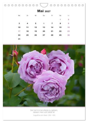 Attraktive Herzmotive 2027 (Wandkalender 2027 DIN A4 hoch), CALVENDO Monatskalender