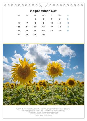 Attraktive Herzmotive 2027 (Wandkalender 2027 DIN A4 hoch), CALVENDO Monatskalender