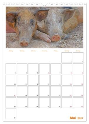Gambia und Senegal erleben (Wandkalender 2027 DIN A3 hoch), CALVENDO Monatskalender