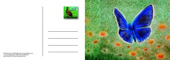 Von den Wiesentieren - Ein Postkartenbuch