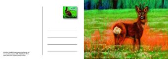 Von den Wiesentieren - Ein Postkartenbuch