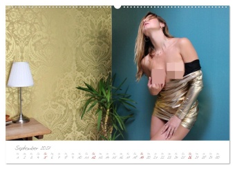 Erotik Fotoart - Frauen sexy & elegant (Wandkalender 2027 DIN A2 quer), CALVENDO Monatskalender